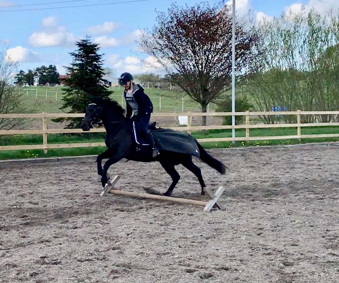 Traver Honey Turbo billede 15