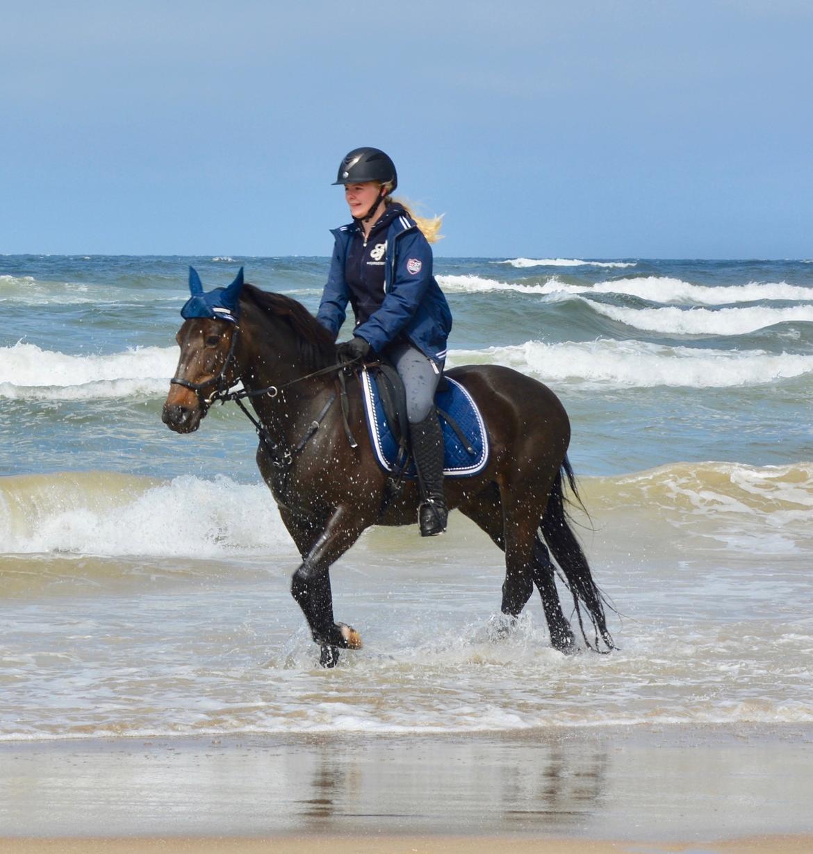 Traver Honey Turbo billede 1