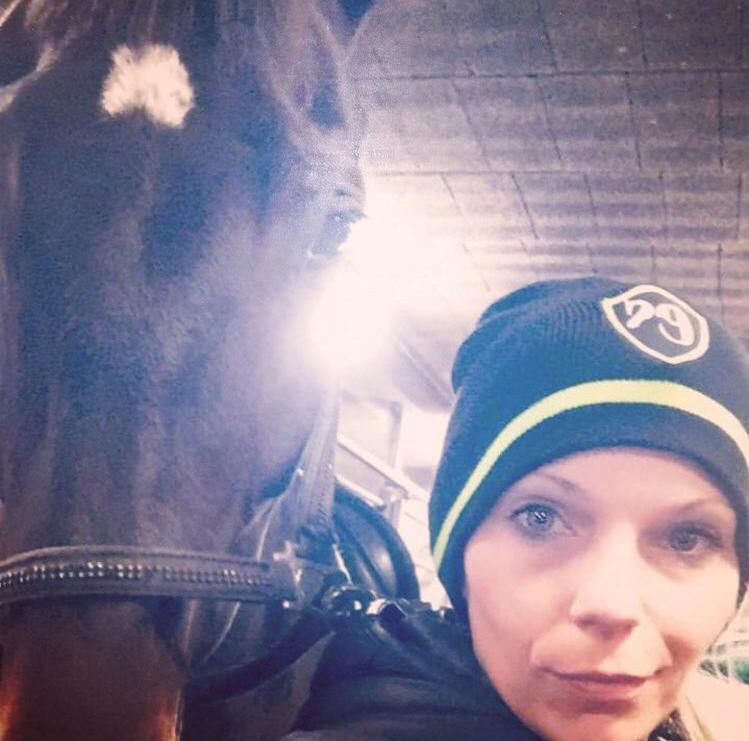 Dansk Varmblod Pelé billede 28