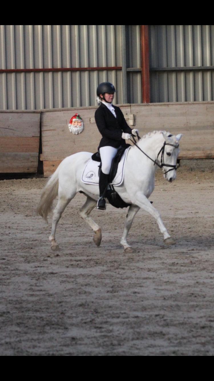 DSP Siska Bredager billede 17