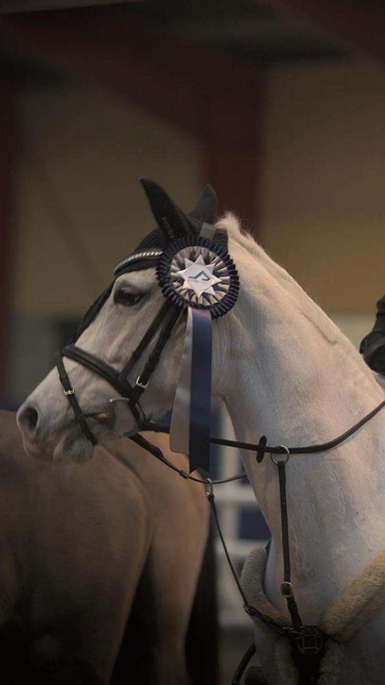 DSP Siska Bredager billede 18