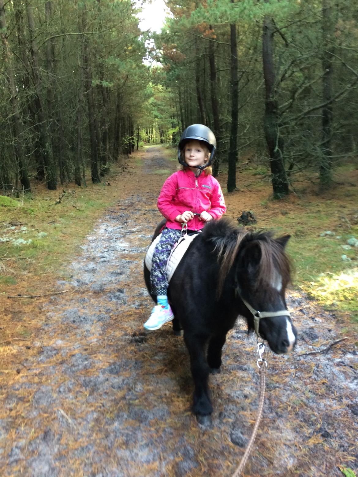 Anden særlig race Bella billede 20