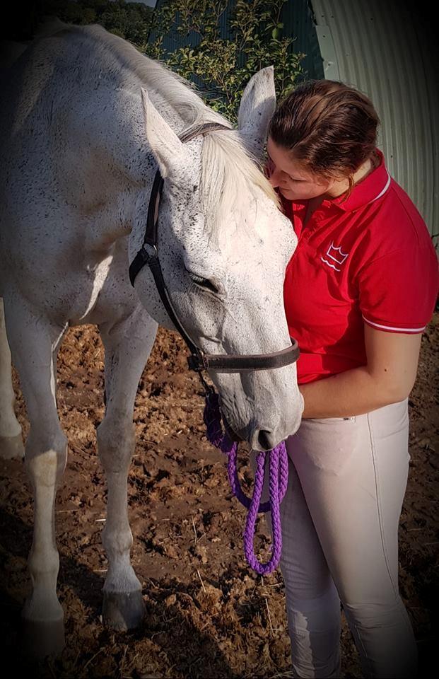 Dansk Varmblod MR. Soru billede 1