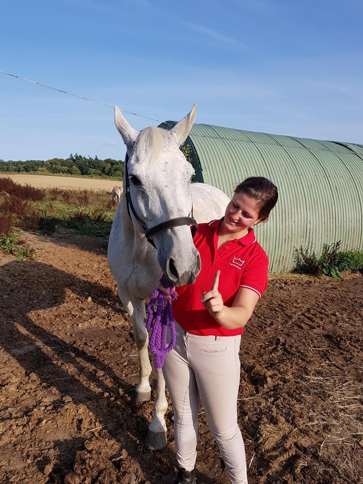 Dansk Varmblod MR. Soru billede 2