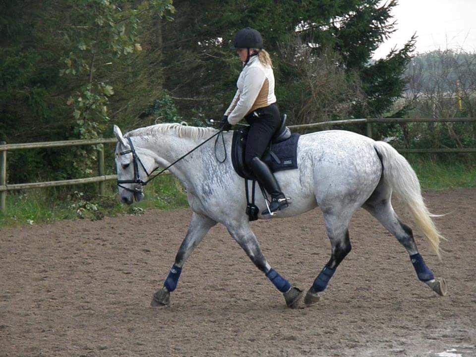 Dansk Varmblod MR. Soru billede 6