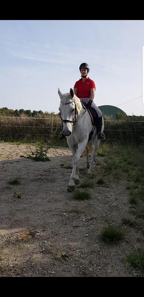 Dansk Varmblod MR. Soru billede 18