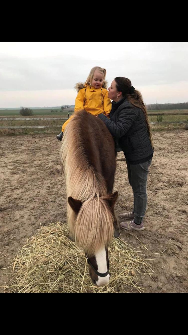 Islænder Ástsæl fra Sóleyja billede 9