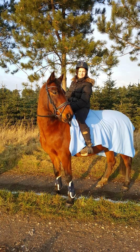 Anden særlig race Karlsbjerggårds sakia billede 13