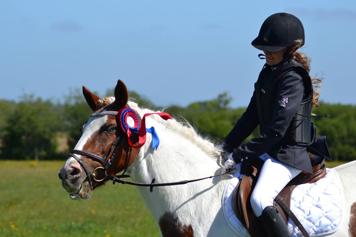 Anden særlig race Susan. (SAVNES!!!) - 5 plads. i 70cm i HORI billede 5