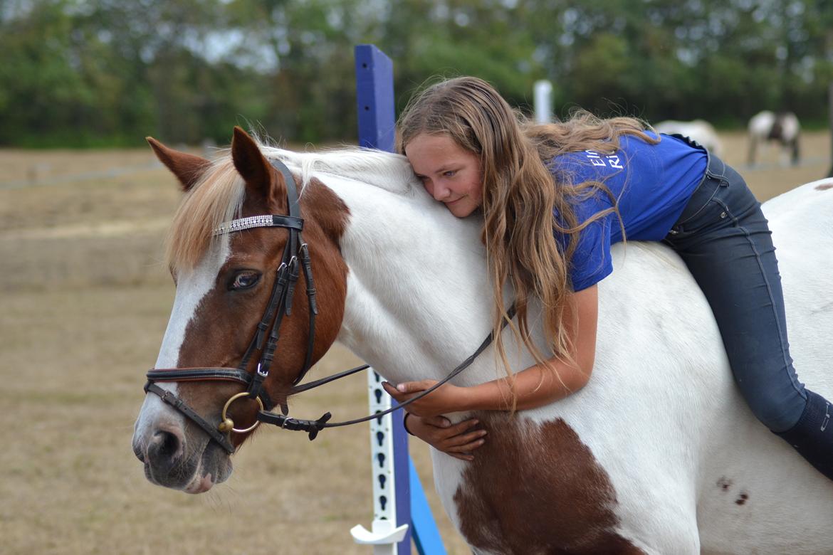 Anden særlig race Susan. (SAVNES!!!) - Sidste dag samen 30/07-2018 billede 10