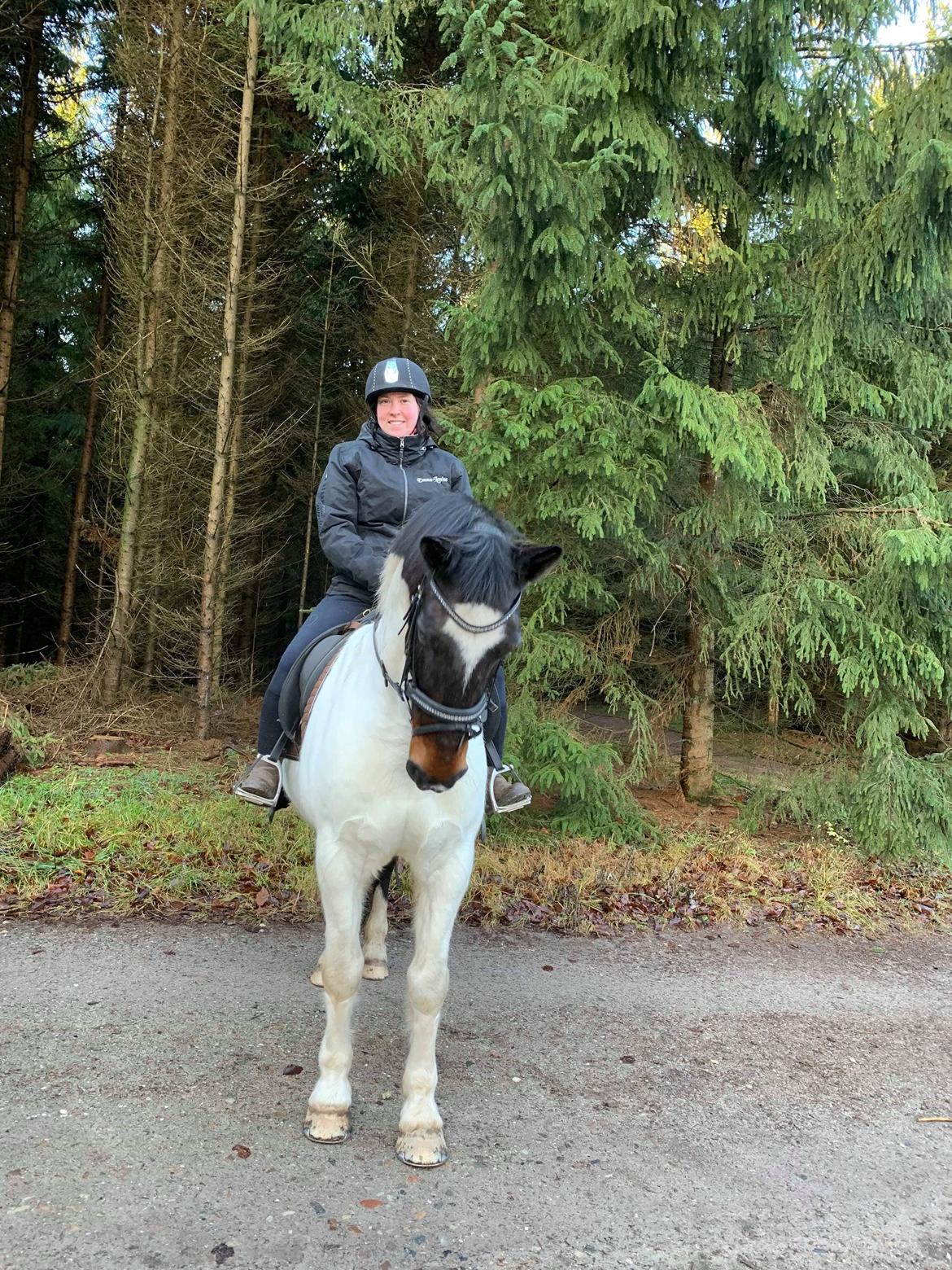 Anden særlig race Sofus  billede 11