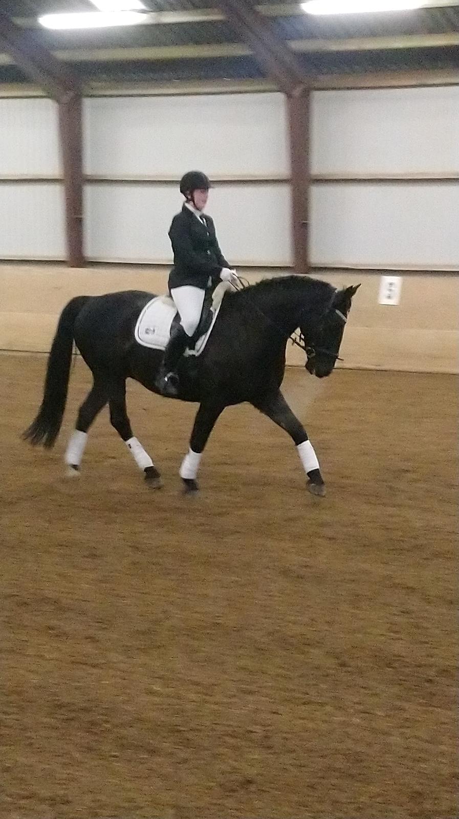 Oldenborg Bolero - Holstebro sportsrideklub 2/3 2019 billede 18