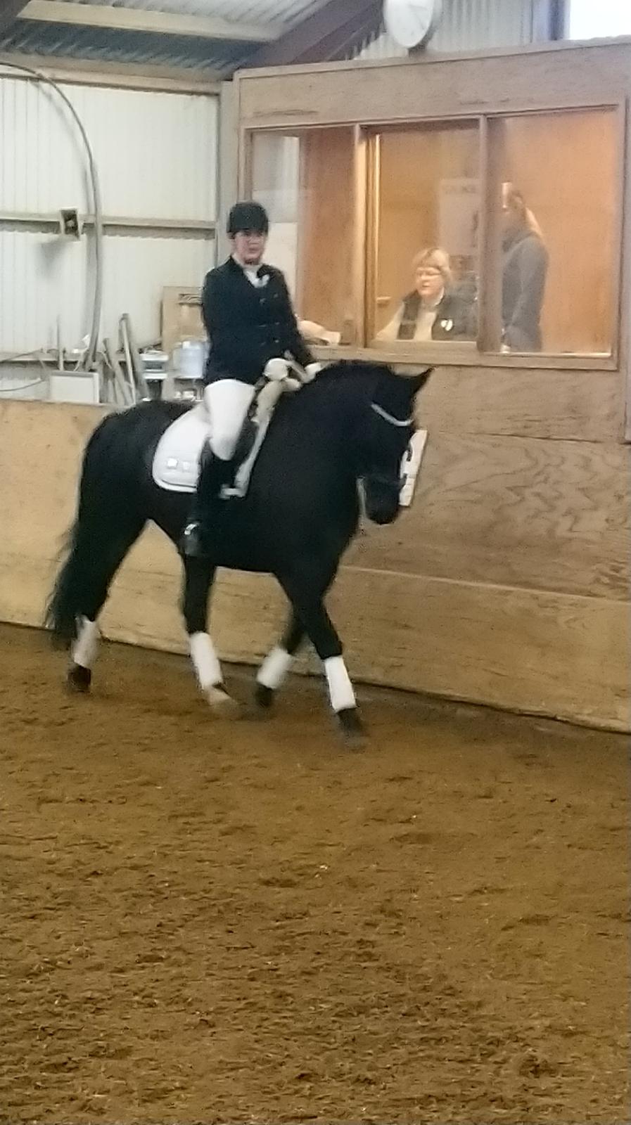 Oldenborg Bolero - Holstebro sportsrideklub 2/3 2019 billede 17