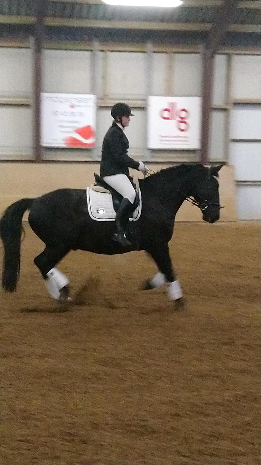 Oldenborg Bolero - "kan du også se det der spøgelse freja?"... holstebro sportsrideklub 2/3 2019 billede 15