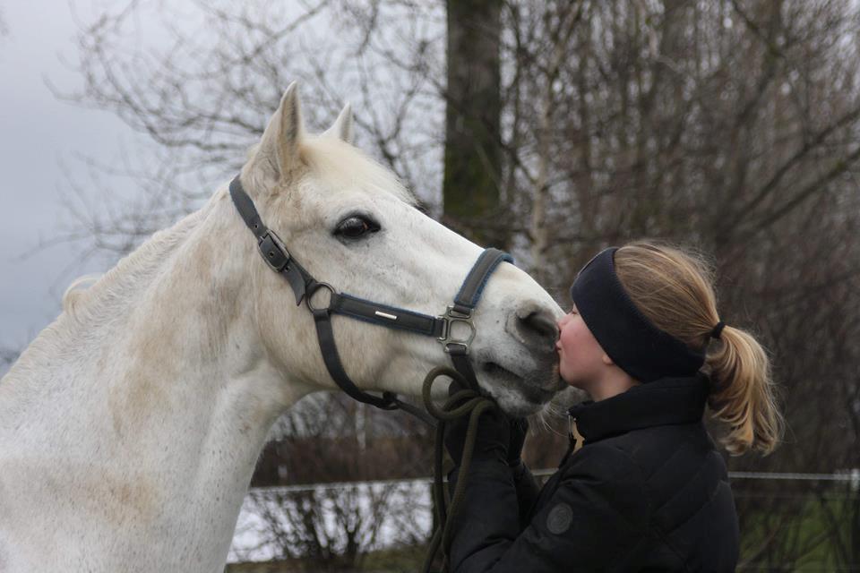 Connemara Elmely's Dun Jackoo - D. 3/2 2019 billede 1