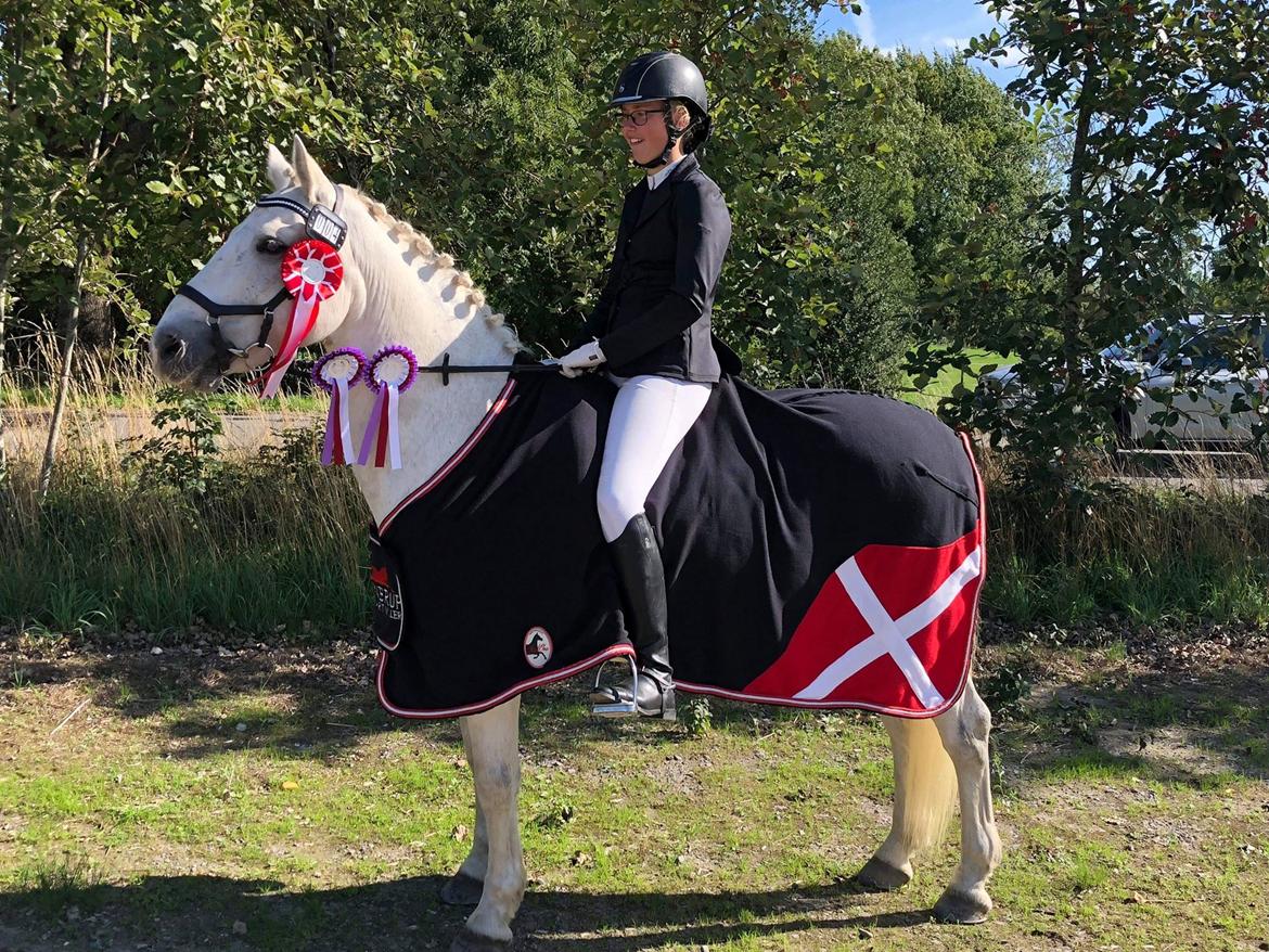 Connemara Elmely's Dun Jackoo - Jackoo og jeg til klubmesterskbaerne i dressur d. 9/9 2018 billede 12