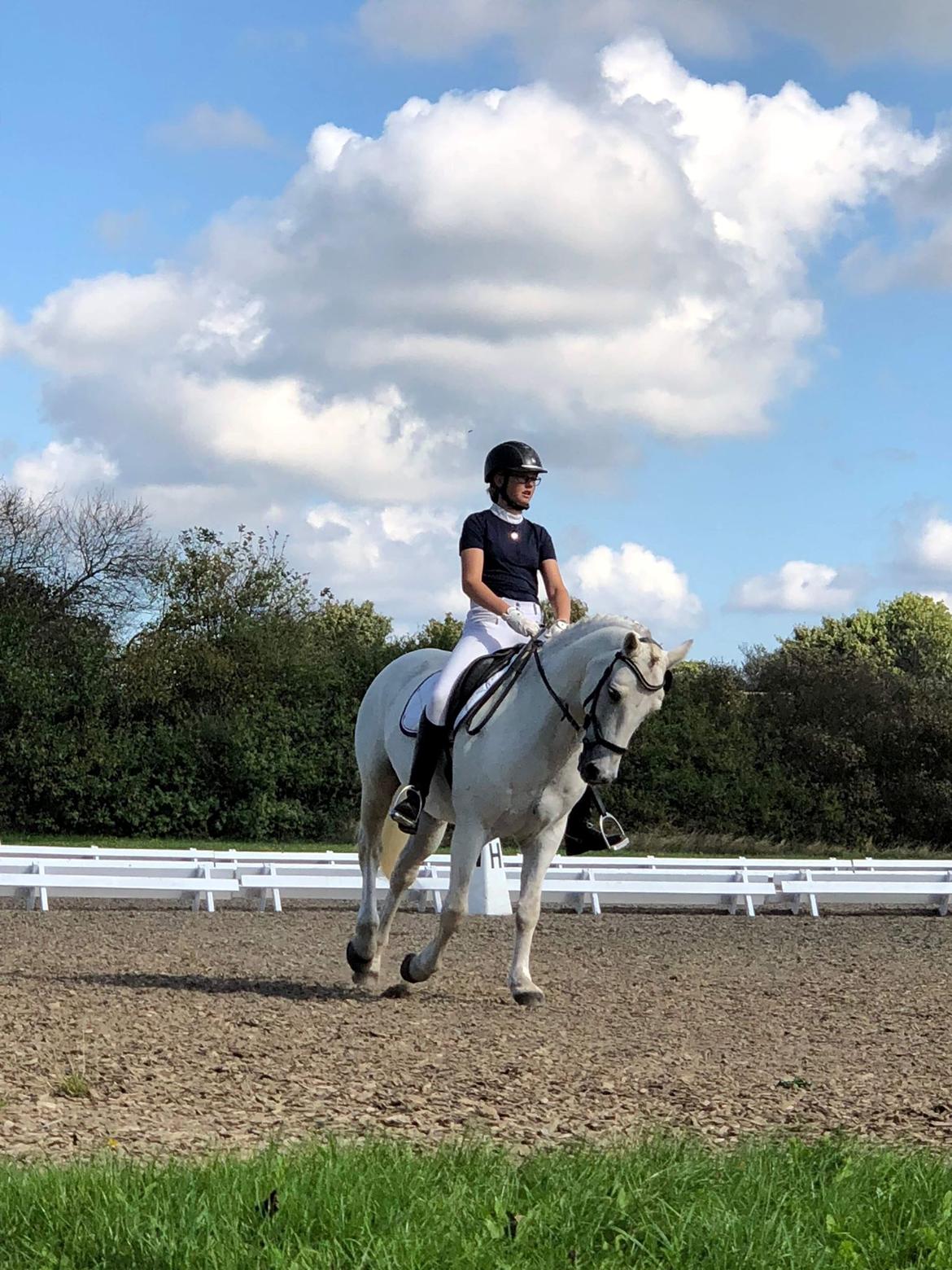 Connemara Elmely's Dun Jackoo - Opvarmnings billede fra klubmesterskaberne billede 14