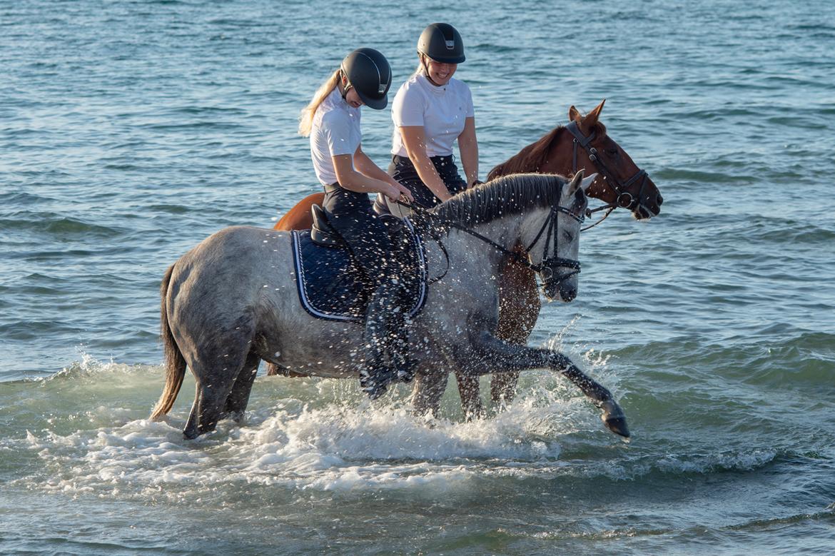 DSP Toftegaards Gurlie (1/3 b-pony i 2019) billede 18