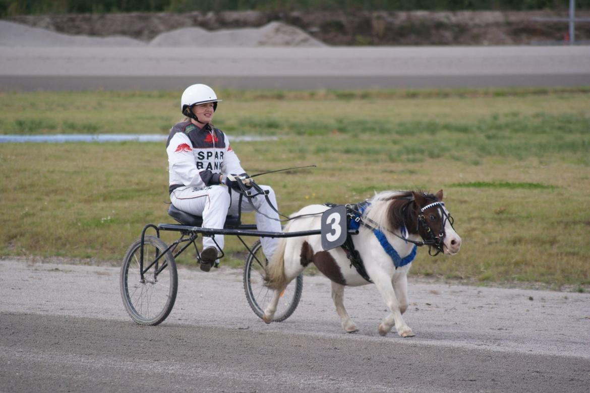 Miniature Pepsi billede 4