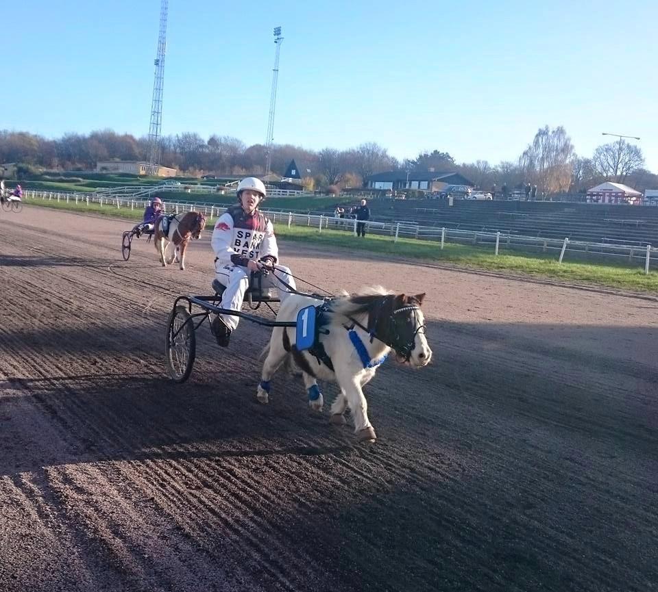 Miniature Pepsi billede 12