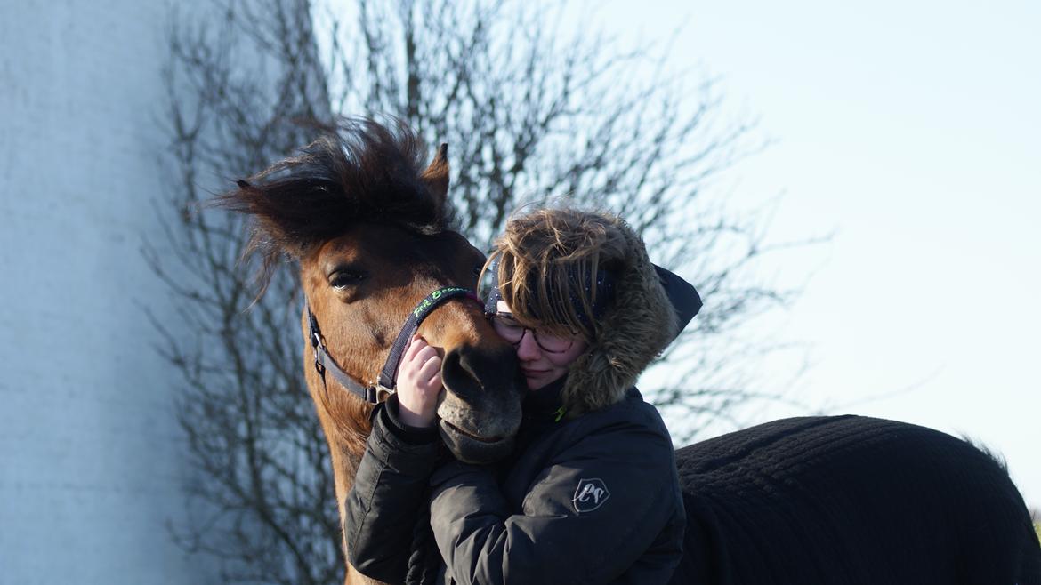 Anden særlig race • S.G.S. MISS BROWN • - Tak for alt, mus! 11. februar 2019 billede 1