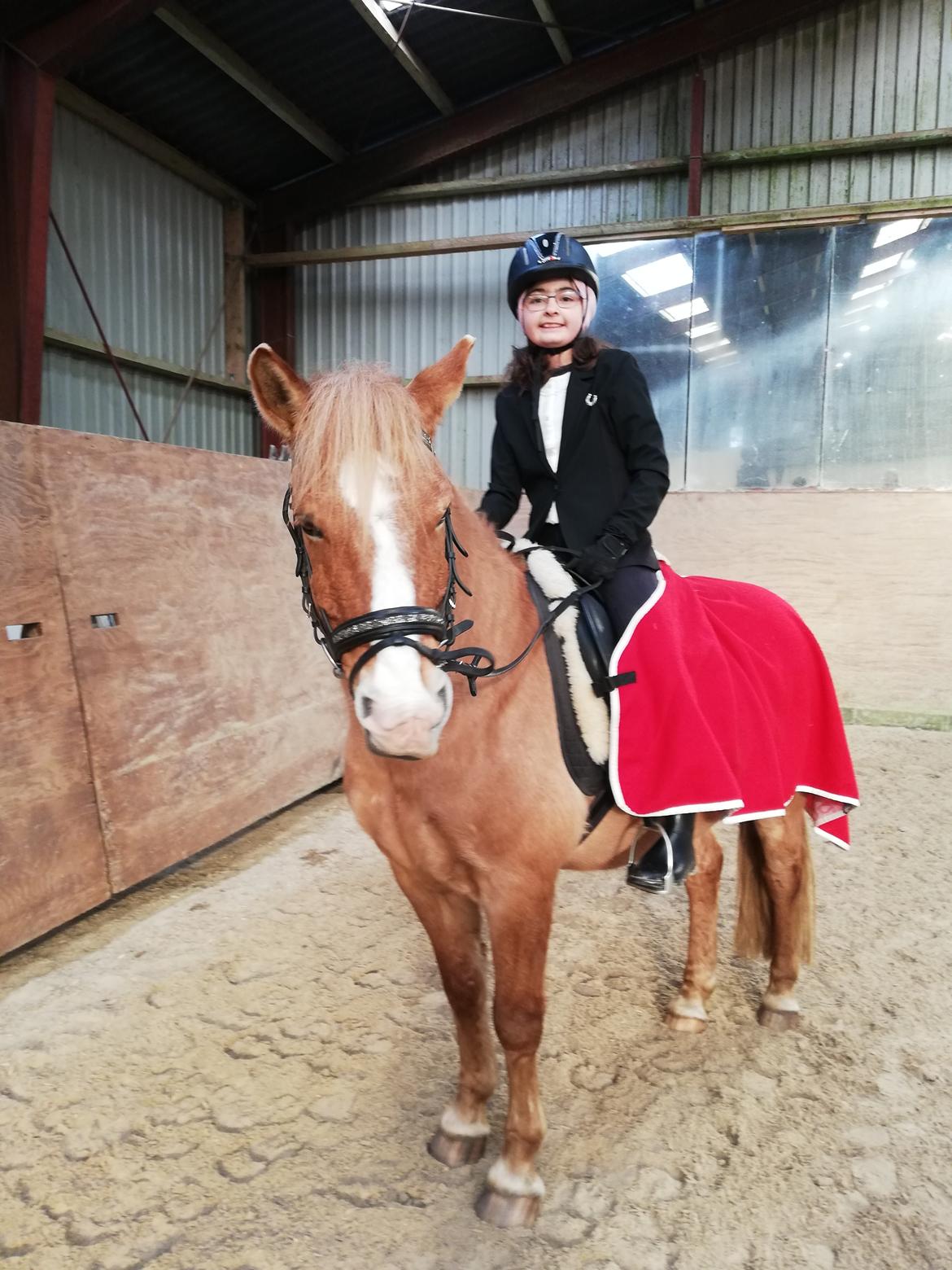 Anden særlig race Buster - 26/1 Stævne på Buster billede 1