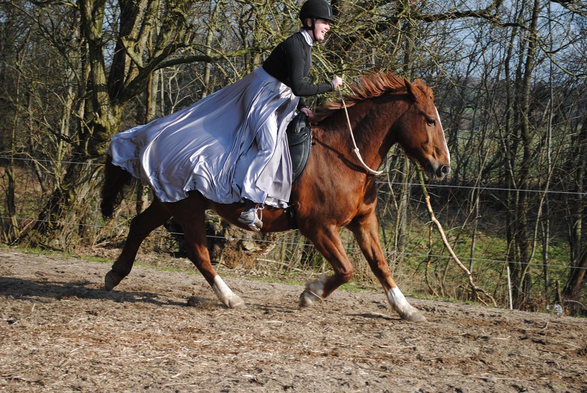 Frederiksborg Casio - 16-02 2019 billede 2