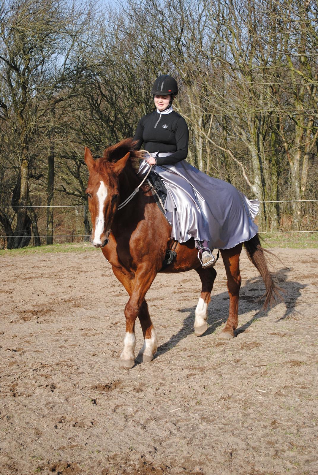 Frederiksborg Casio - 16-02 2019 billede 4