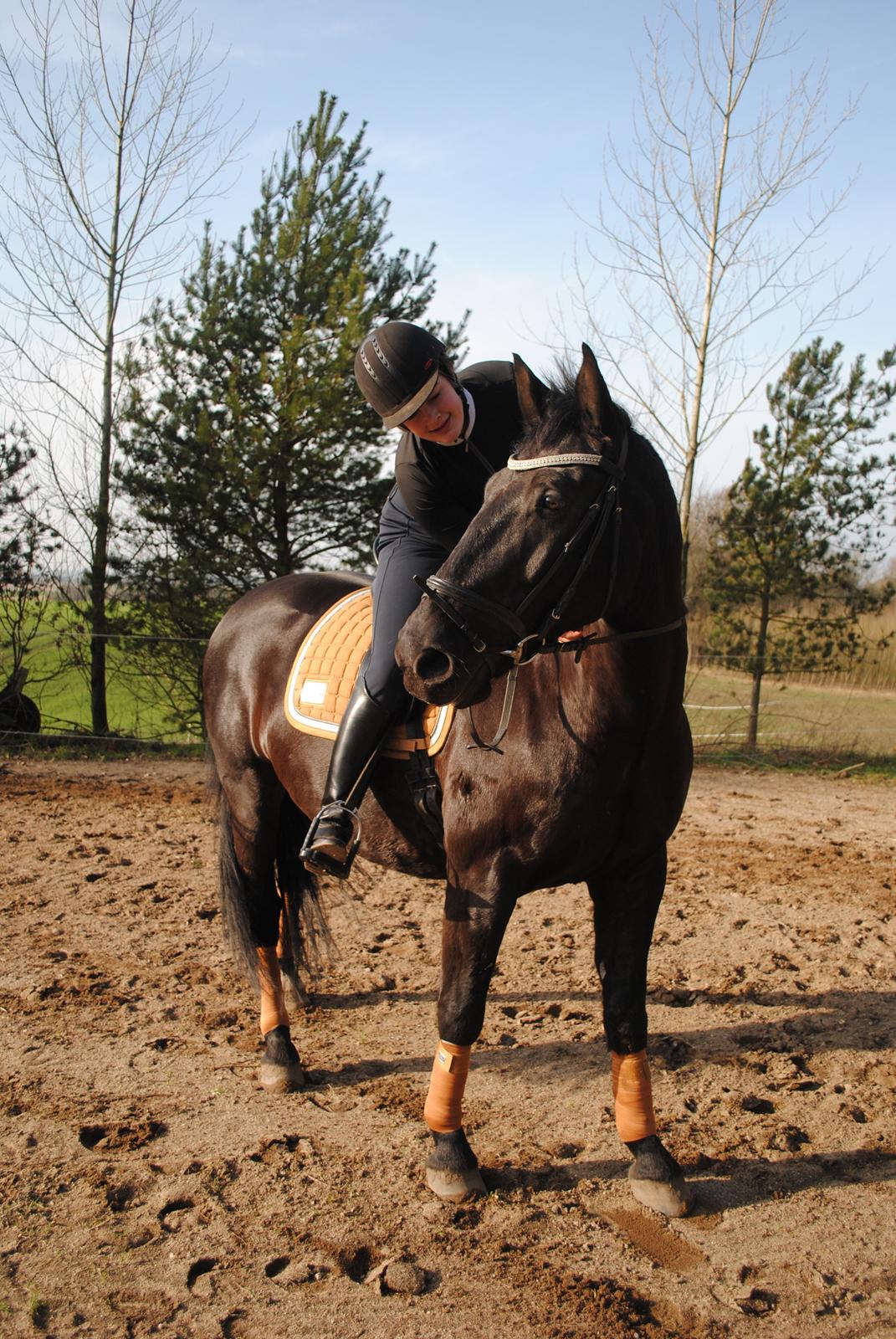 Oldenborg Bolero billede 1