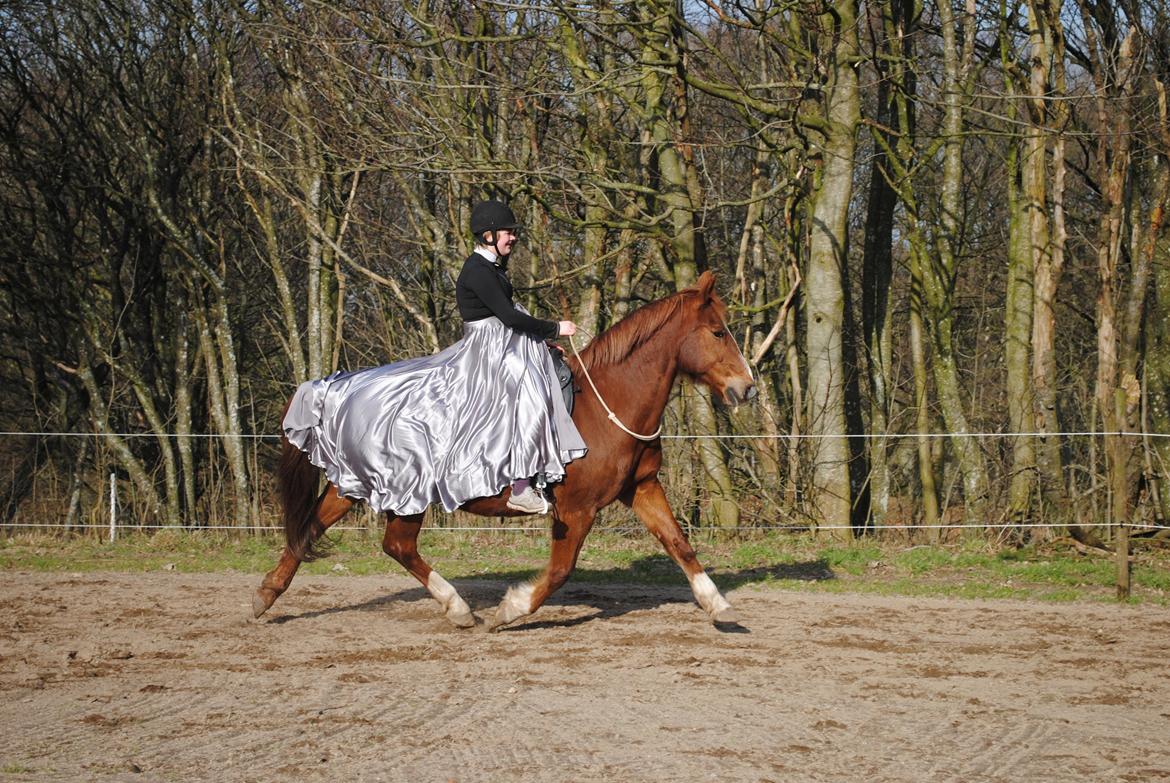 Frederiksborg Casio - 16-02 2019 billede 3