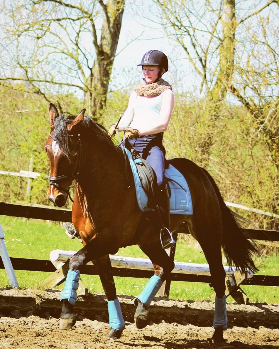 Traver Kenny u.a. - Dressur træning april 2014. billede 13