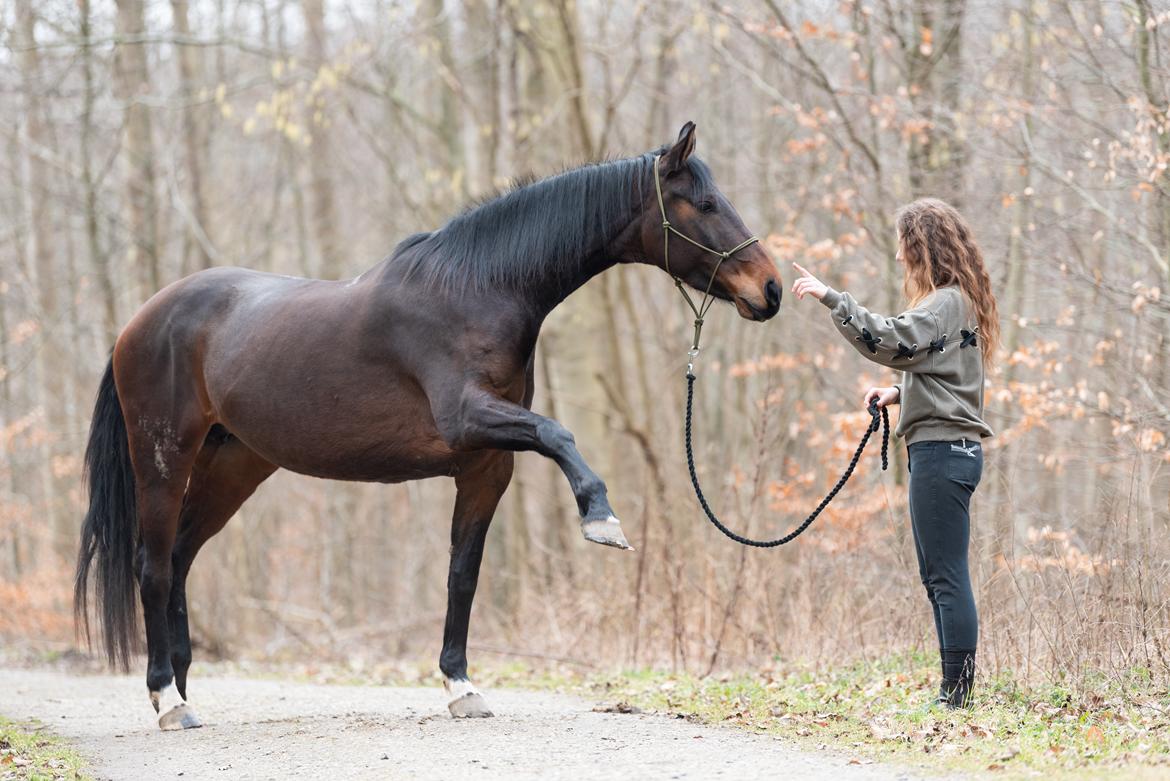 Anden særlig race | Madonna - ♥ Februar 2019.  billede 7