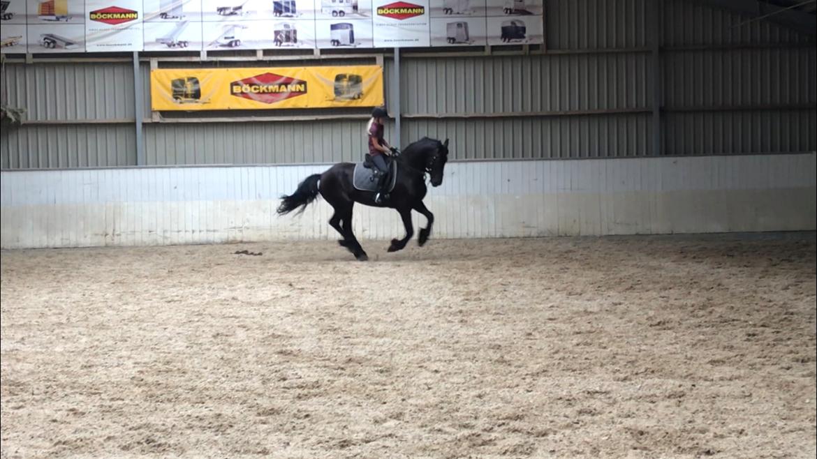 Frieser Van Helsing billede 8