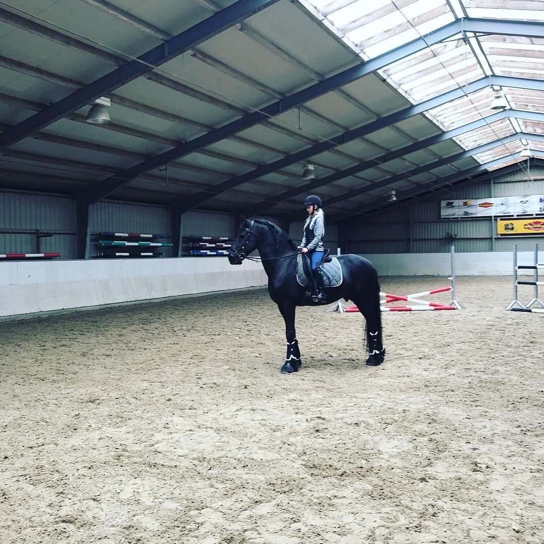 Frieser Van Helsing billede 12