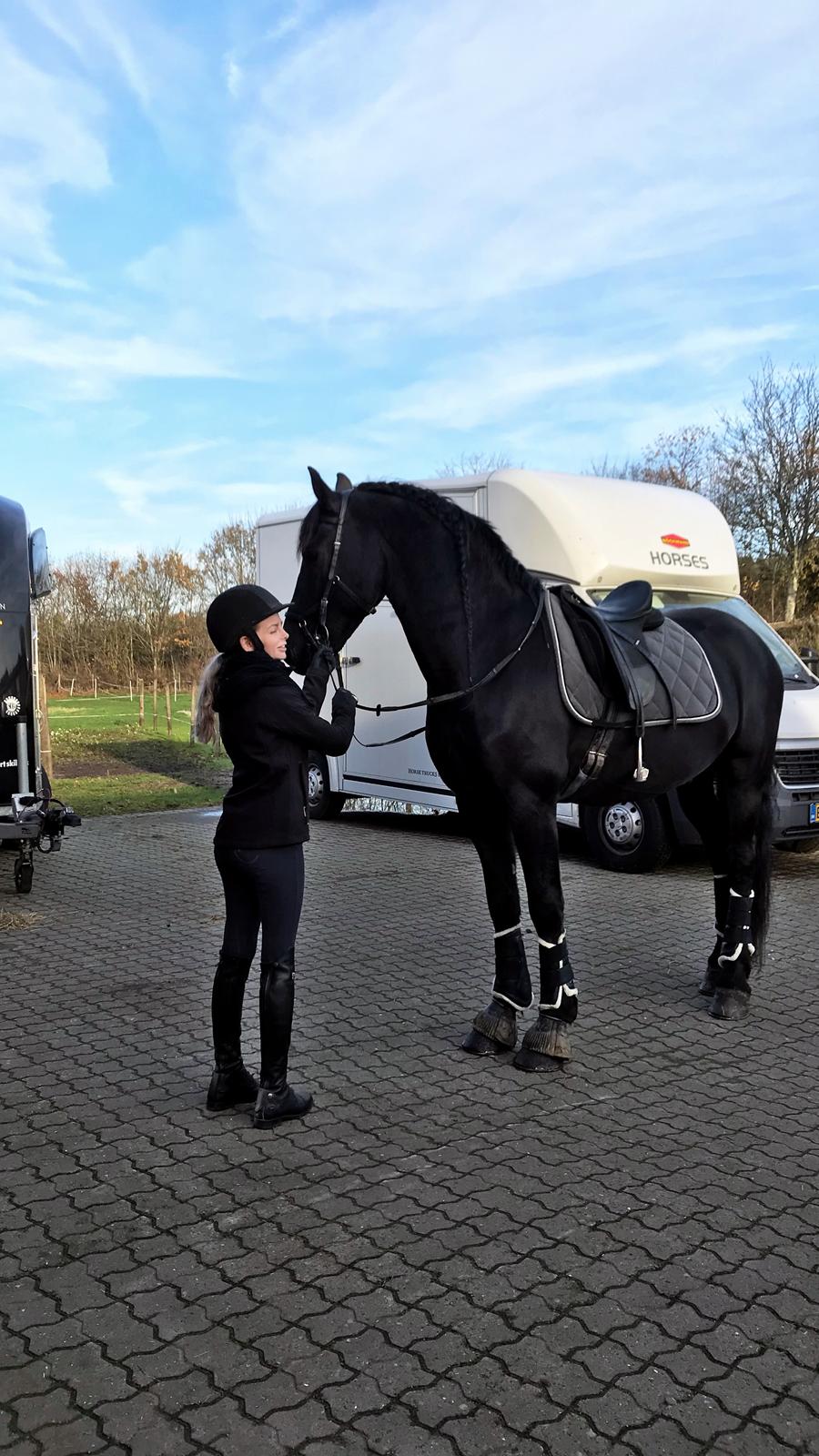 Frieser Van Helsing billede 16