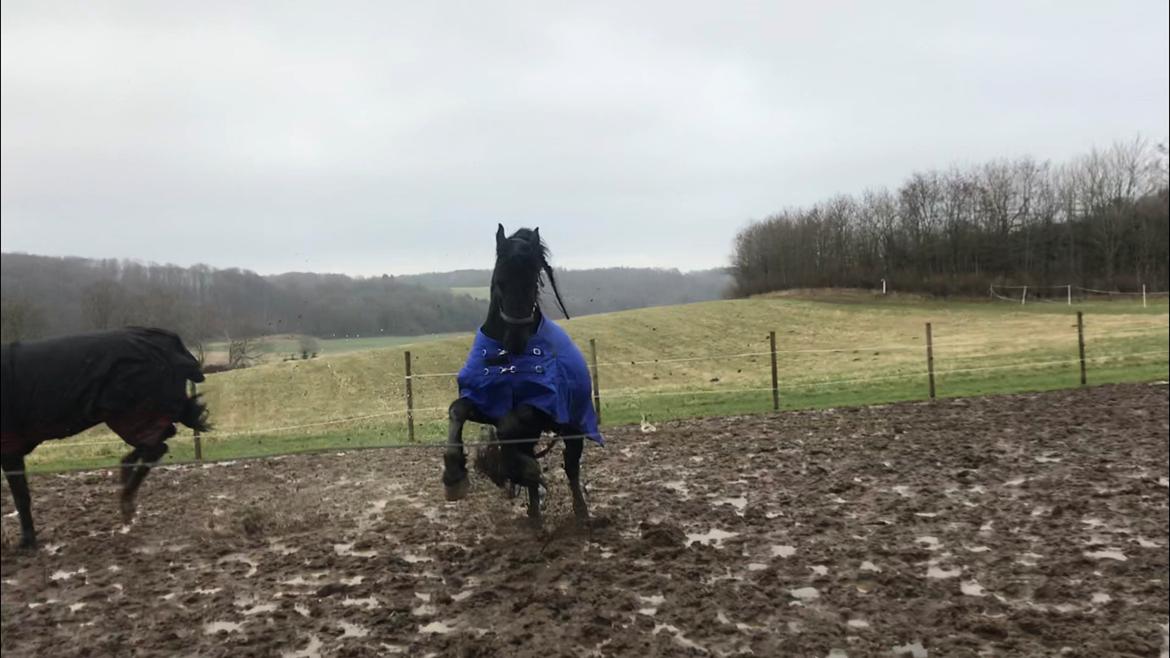 Frieser Van Helsing billede 17