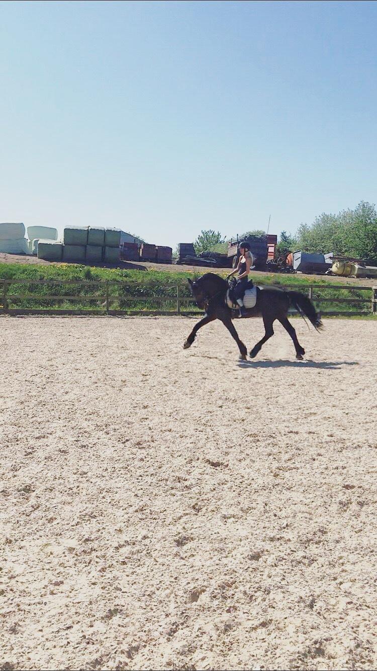 Frieser Van Helsing billede 18