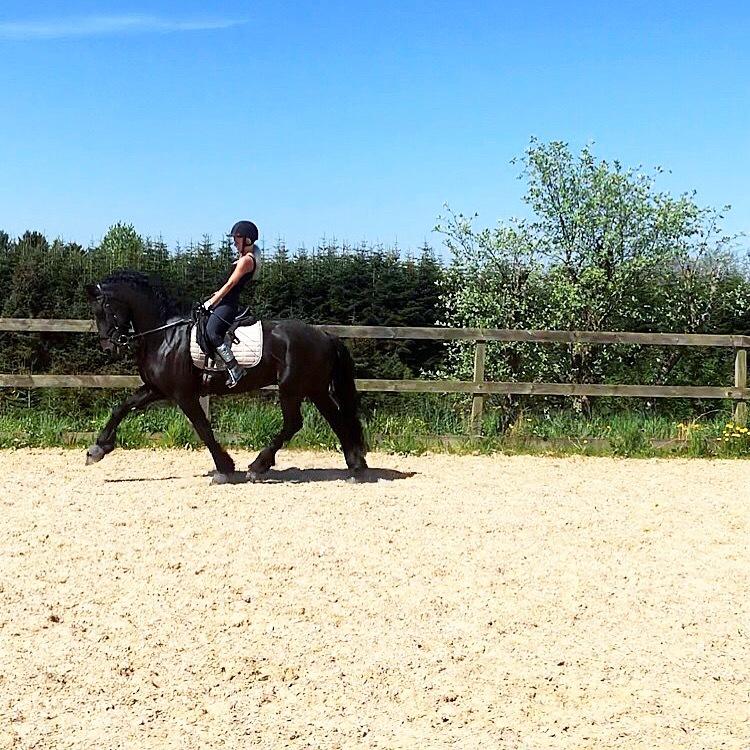 Frieser Van Helsing billede 19