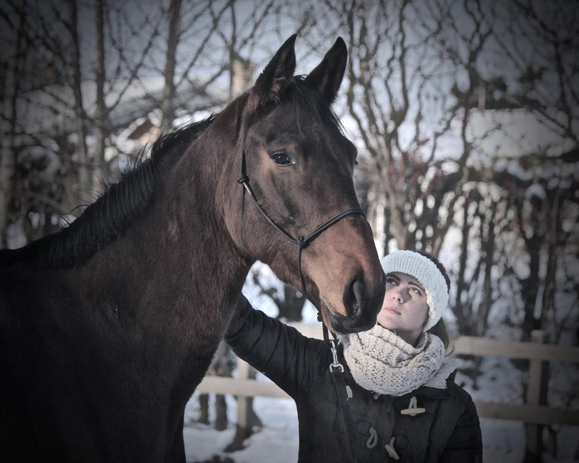 Holstener Cammy (HOPPEN) billede 18