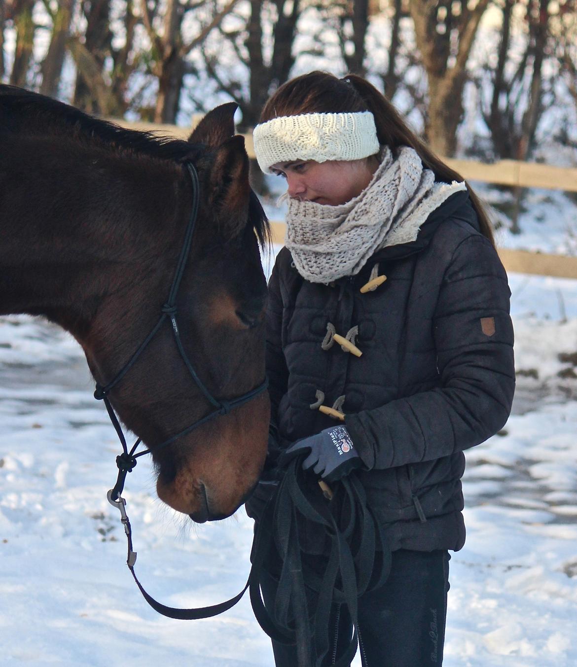 Holstener Cammy (HOPPEN) billede 20