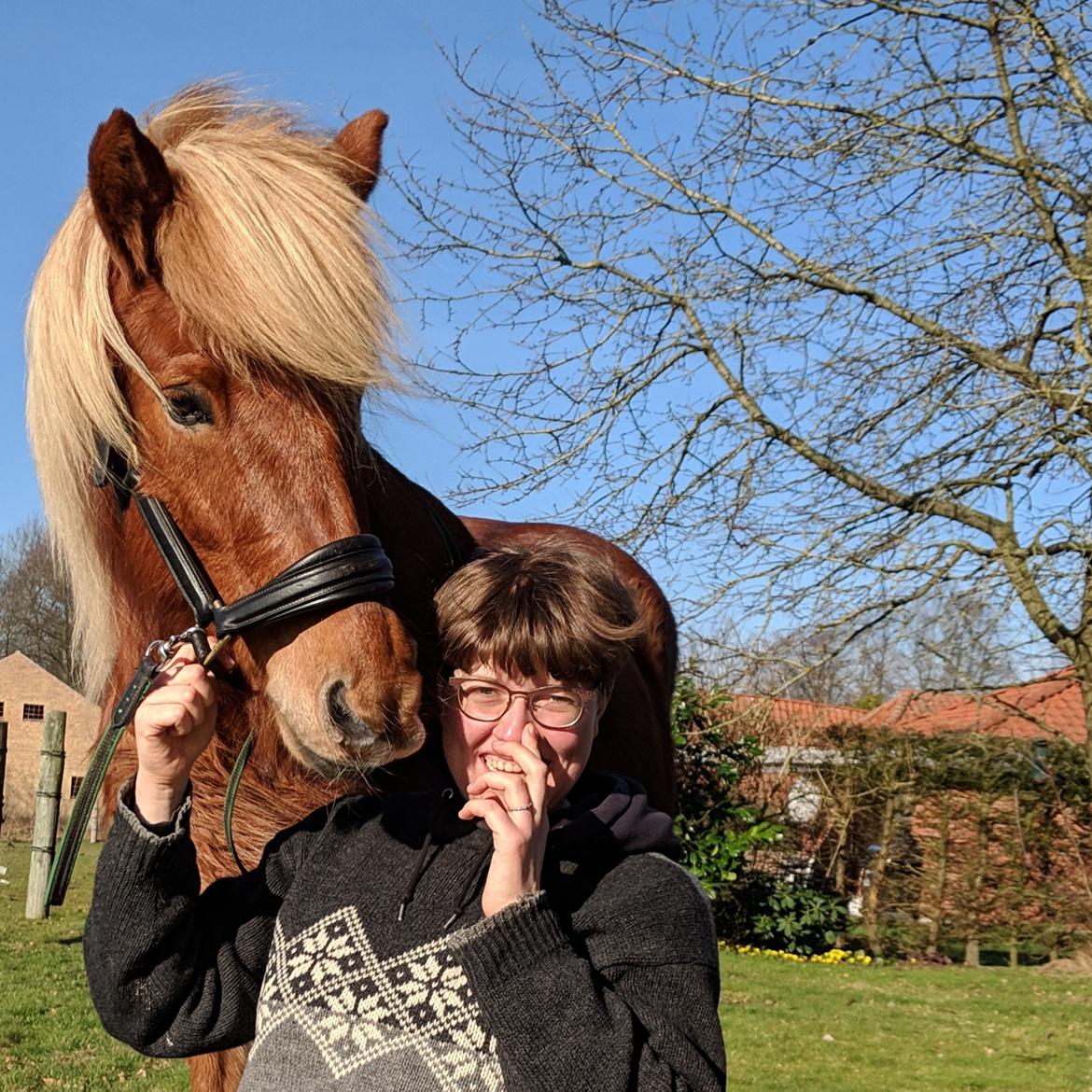 Islænder Syrpa fra Gyllingnæs - februar 2019 <3 billede 16