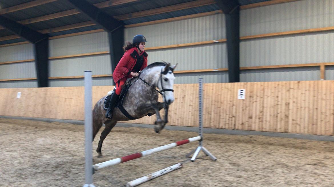 Pura Raza Española Tu Buena billede 19