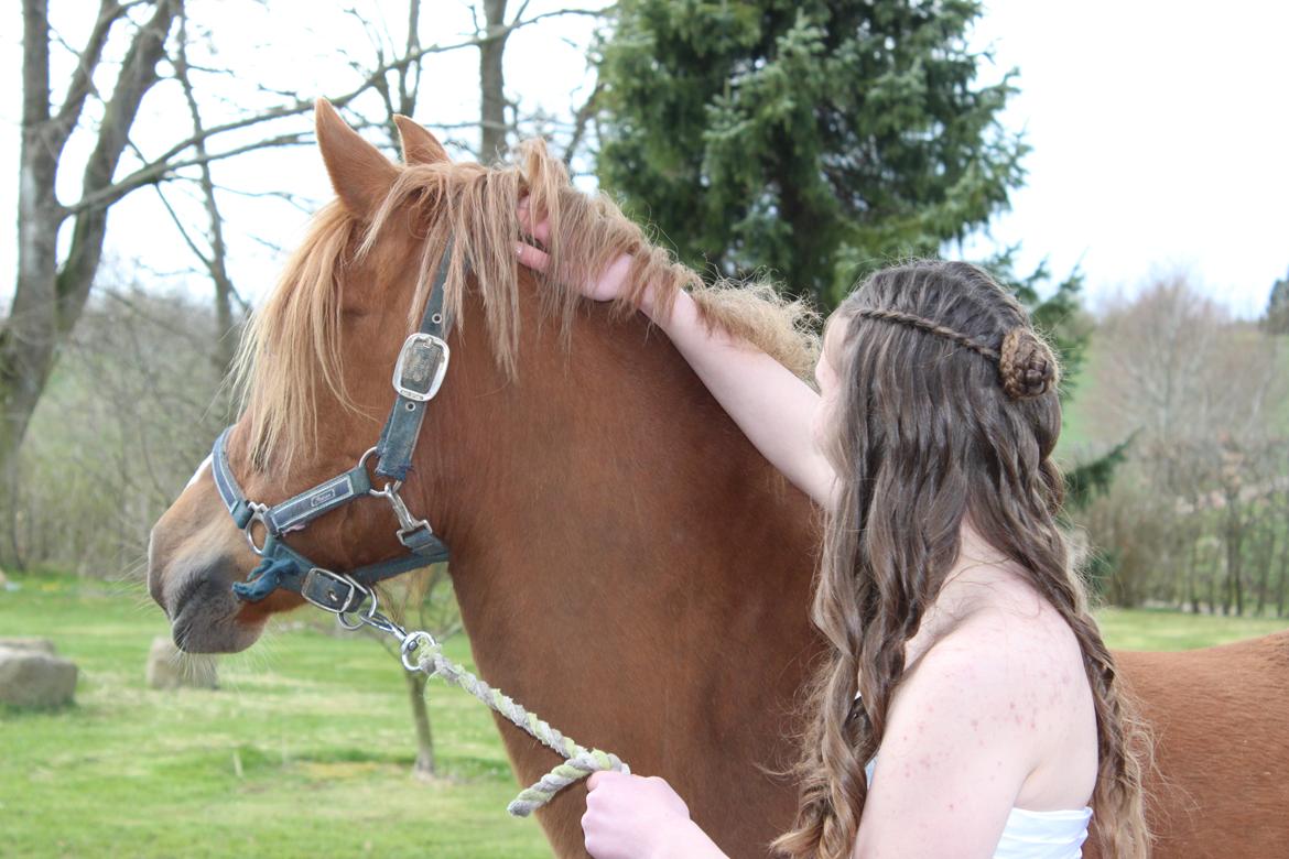 Anden særlig race Fanzo - 24/04-2016 billede 12
