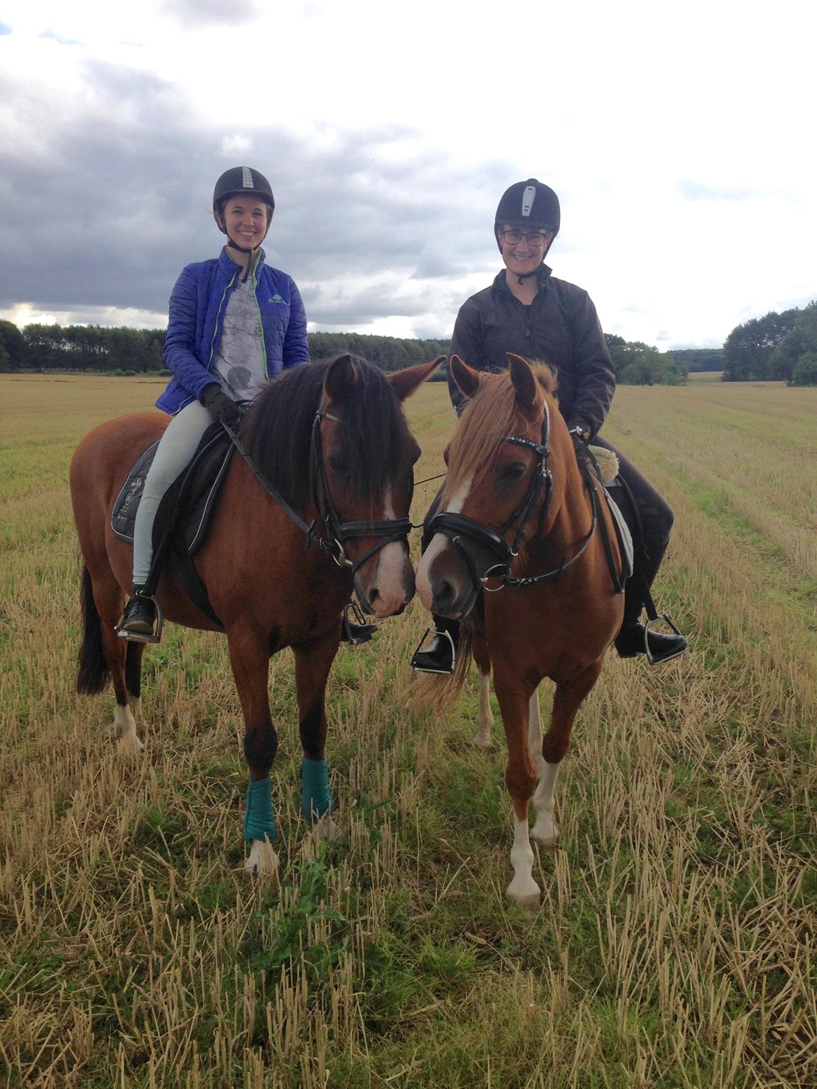 Anden særlig race Fanzo billede 16