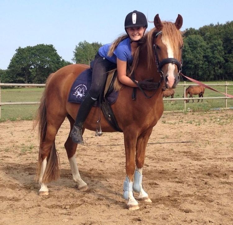 Anden særlig race Fanzo billede 19