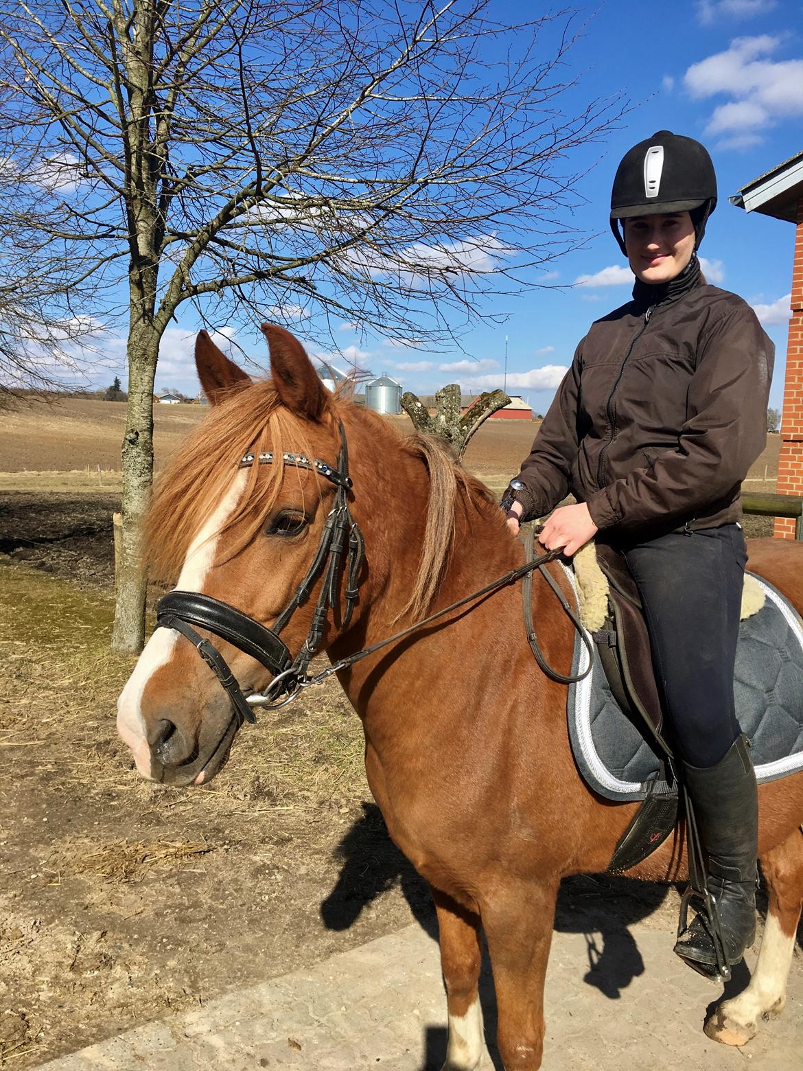 Anden særlig race Fanzo billede 8