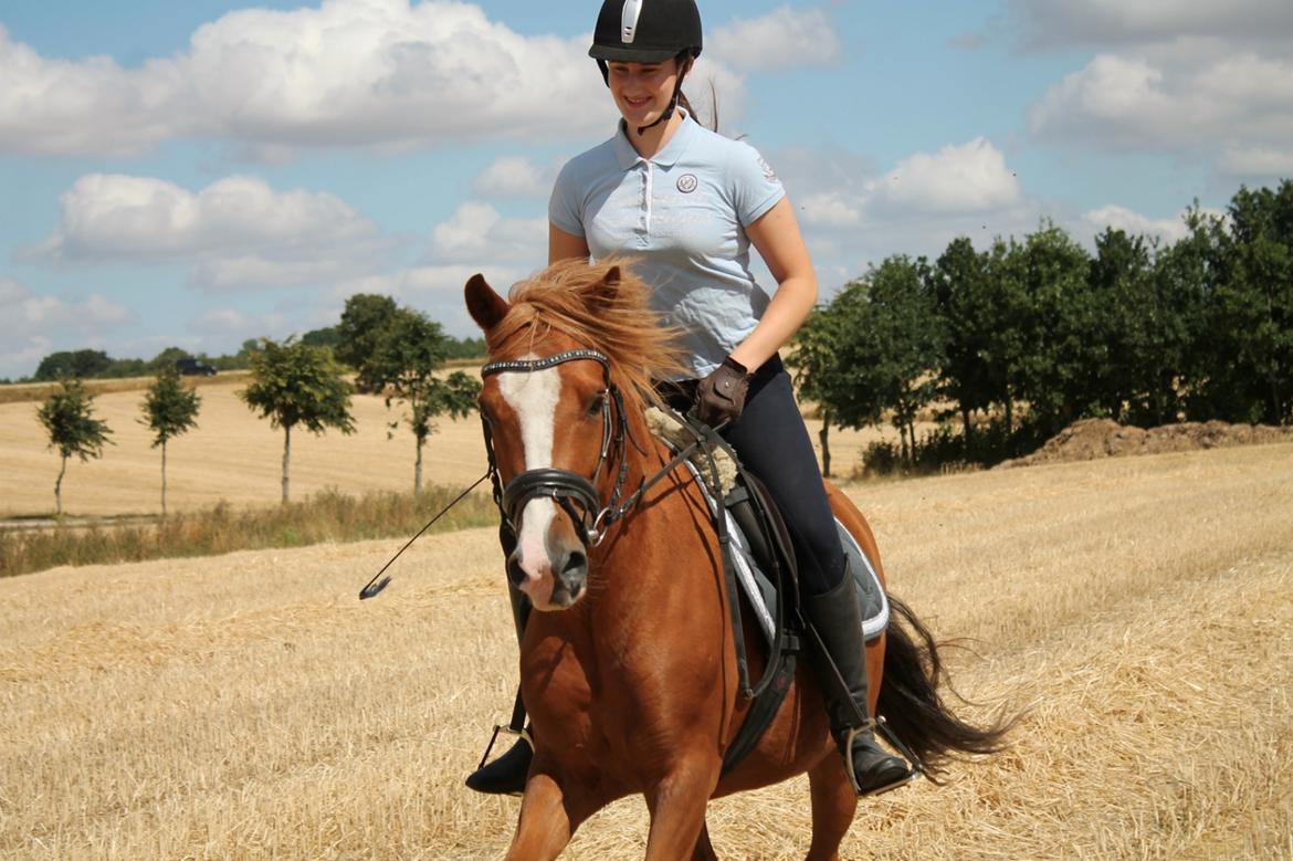 Anden særlig race Fanzo billede 13