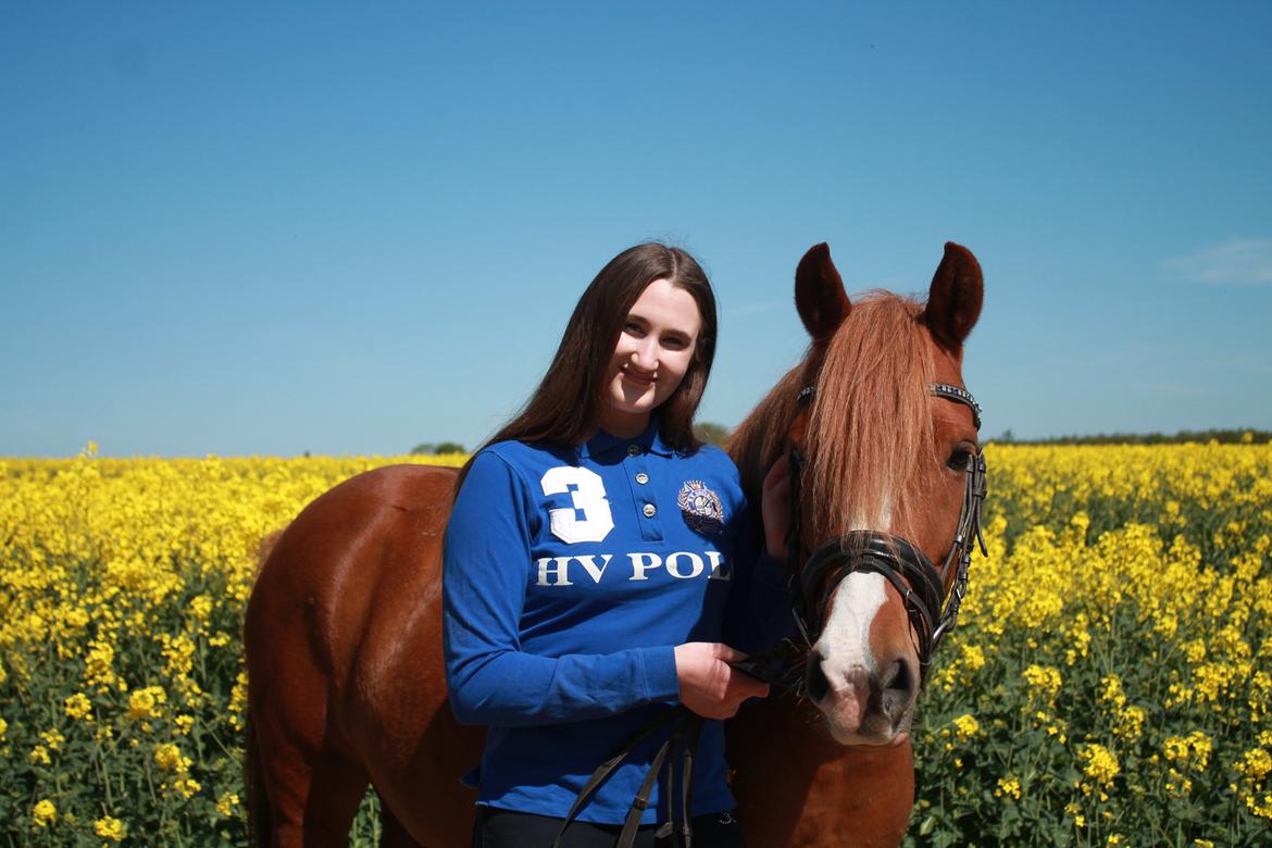 Anden særlig race Fanzo billede 6