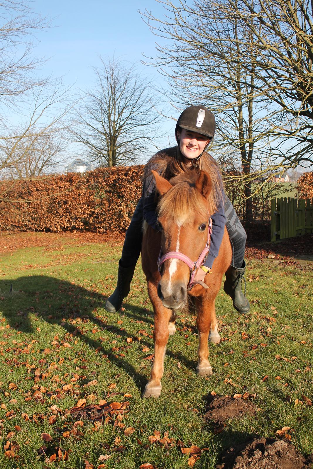 Anden særlig race Fanny billede 2