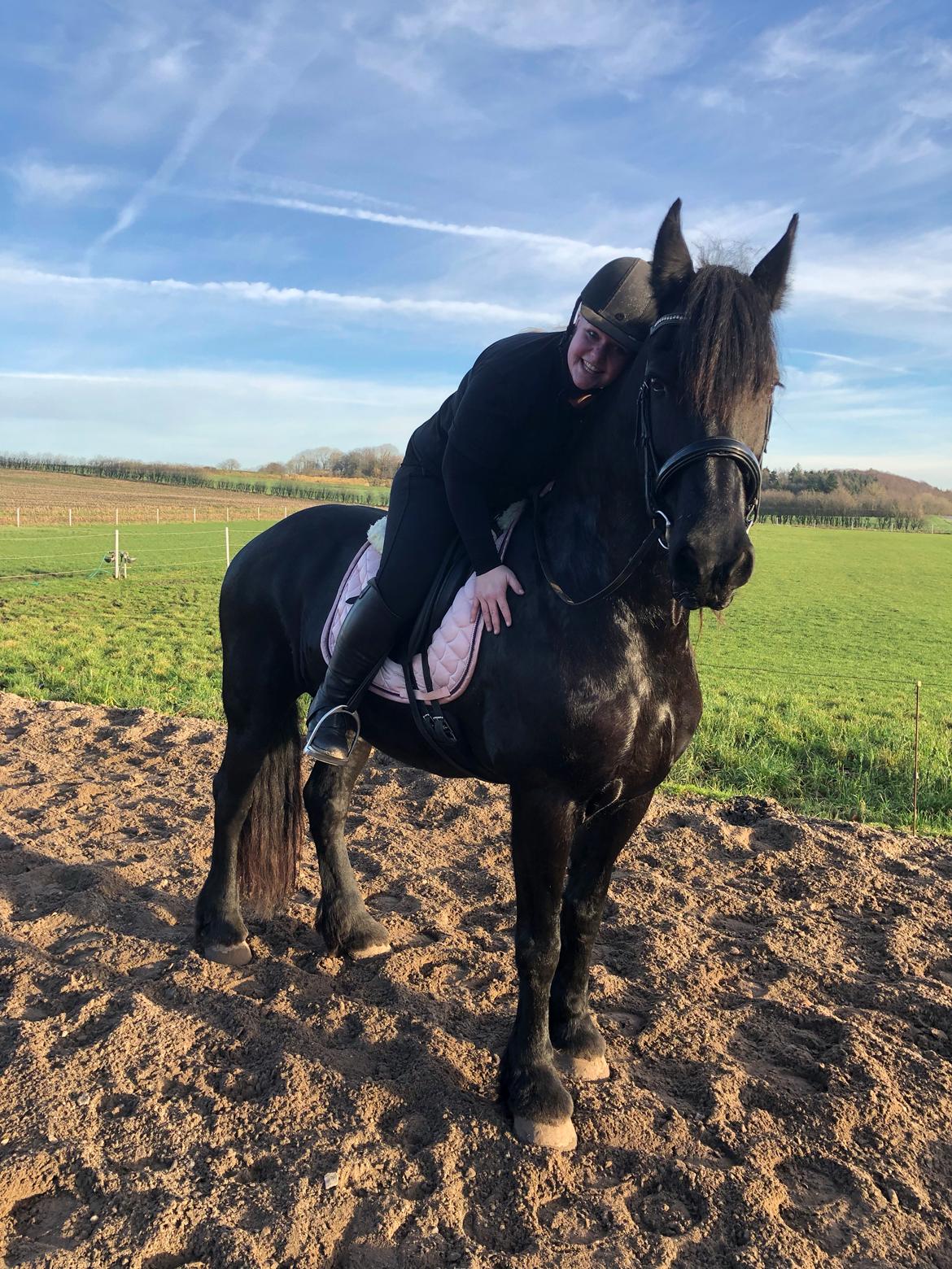 Frieser Oukje V billede 5